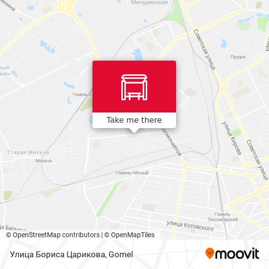 Улица Бориса Царикова map