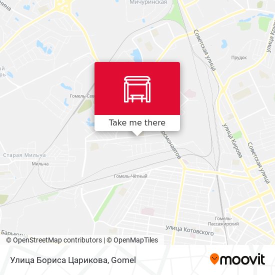 Улица Бориса Царикова map