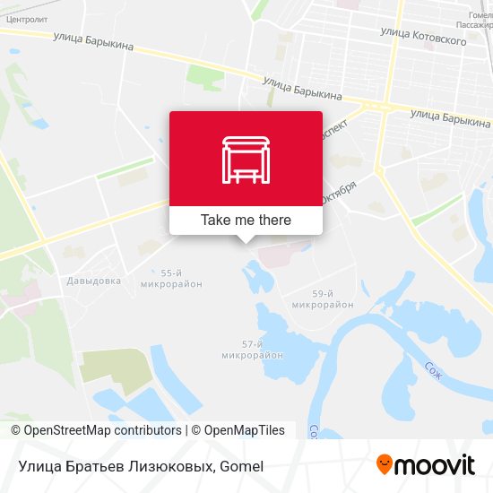 Улица Братьев Лизюковых map