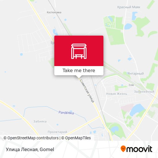 Улица Лесная map