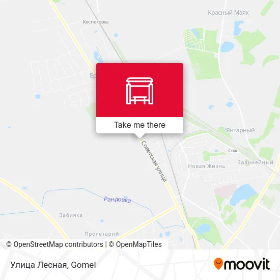 Улица Лесная map