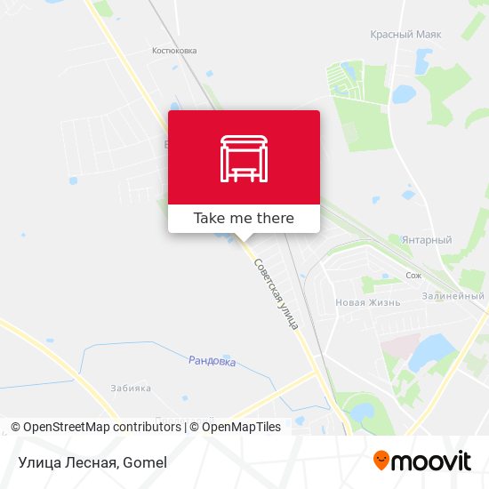 Улица Лесная map