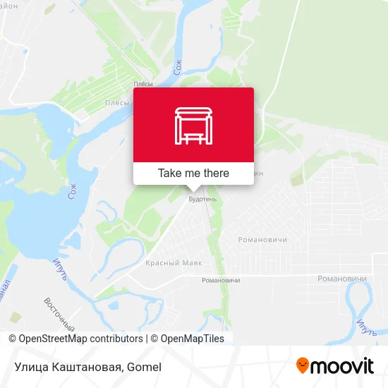 Улица Каштановая map