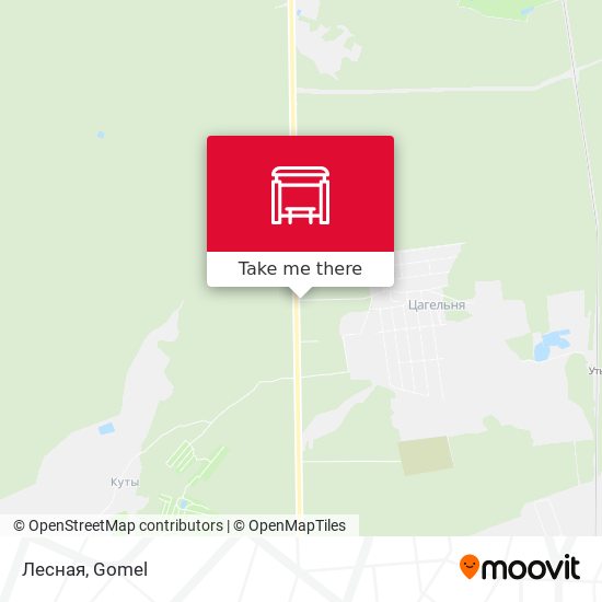 Лесная map