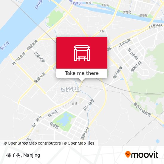 柿子树 map