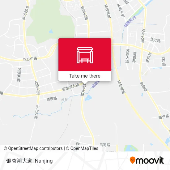 银杏湖大道 map
