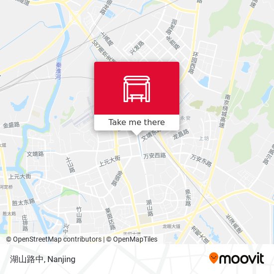 湖山路中 map