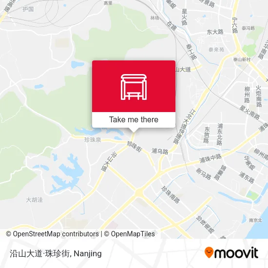 沿山大道·珠珍街 map