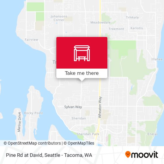 Pine Rd at David map