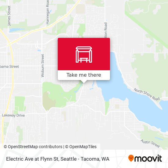 Electric Ave at Flynn St map