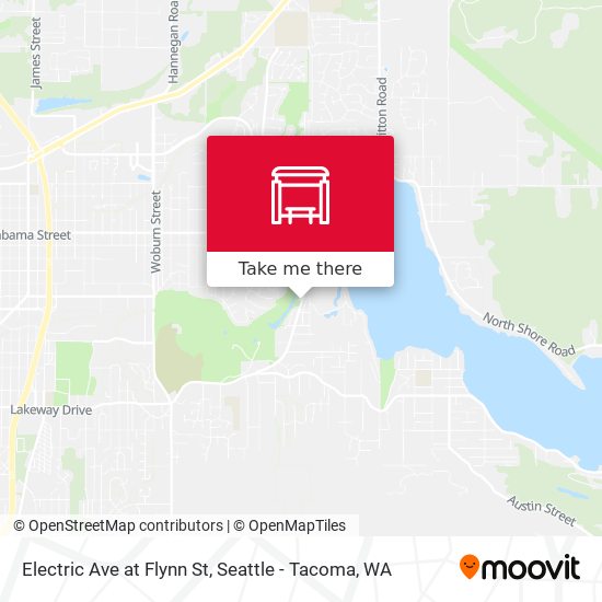 Mapa de Electric Ave at Flynn St