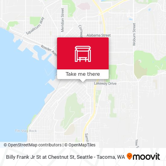 Billy Frank Jr St at Chestnut St map