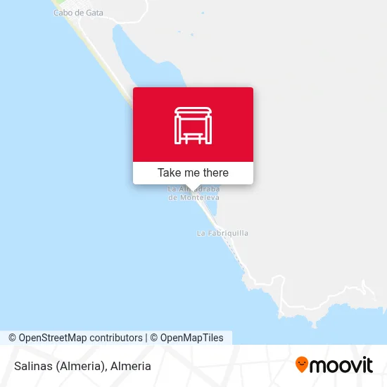Salinas (Almeria) map