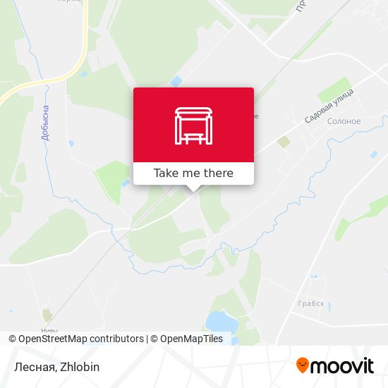 Лесная map