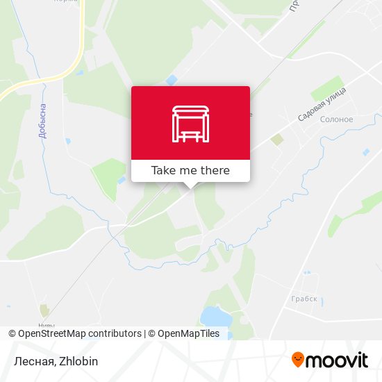 Лесная map
