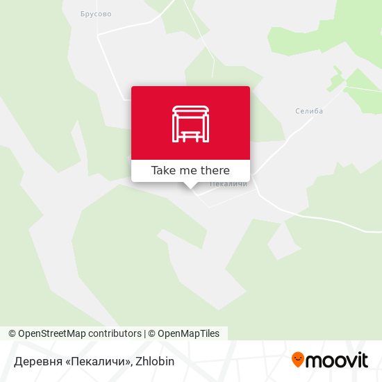 Деревня «Пекаличи» map