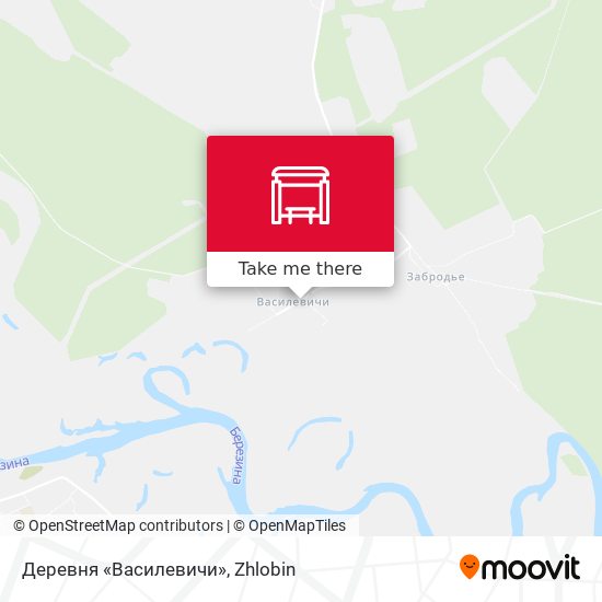 Деревня «Василевичи» map