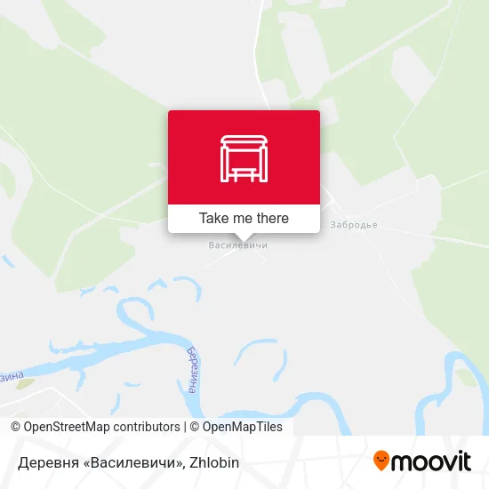 Деревня «Василевичи» map