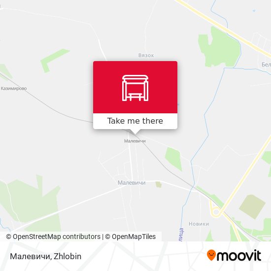 Малевичи map