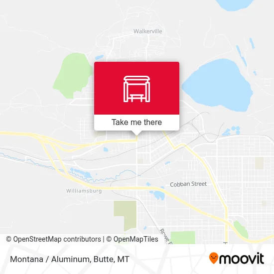 Montana / Aluminum map