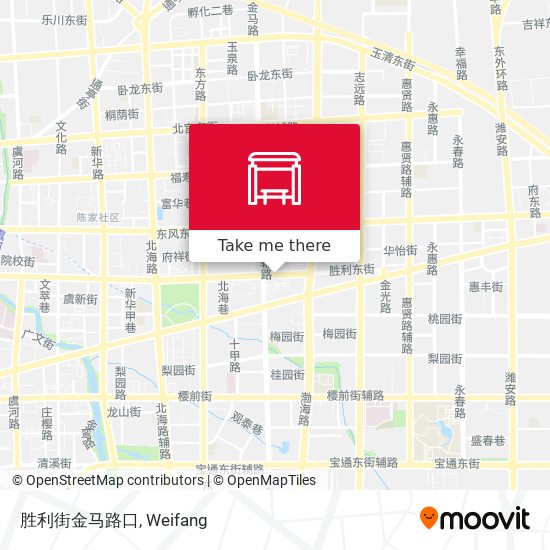 胜利街金马路口 map