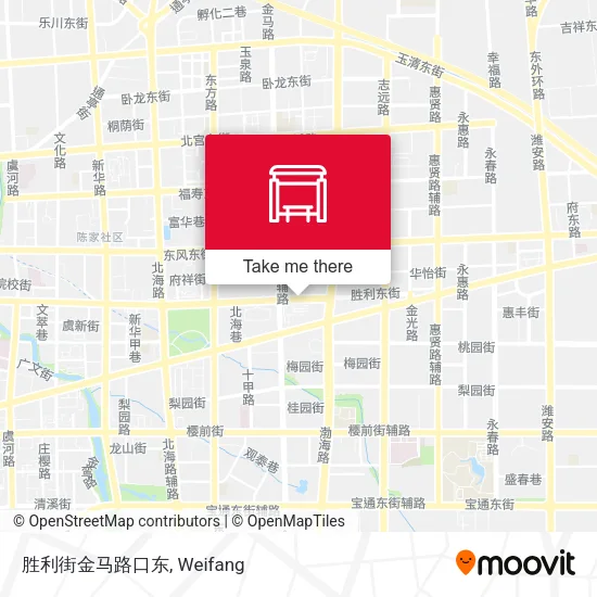胜利街金马路口东 map