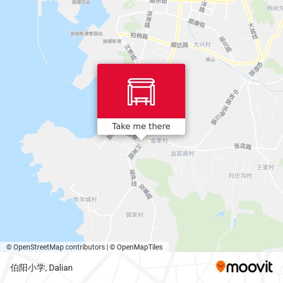 伯阳小学 map