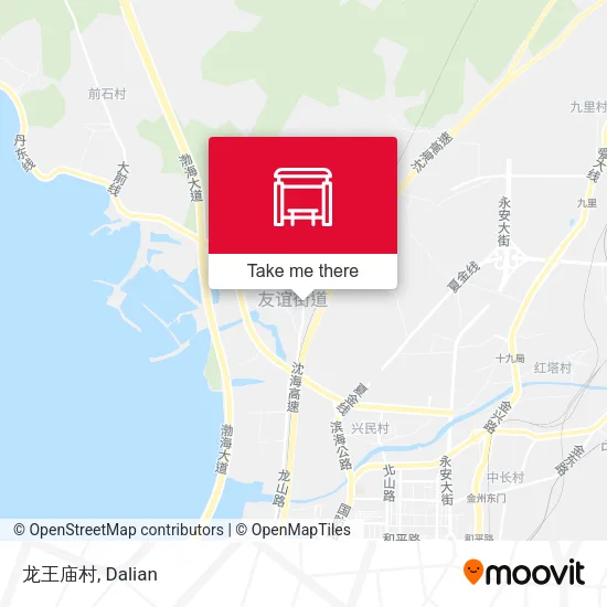龙王庙村 map