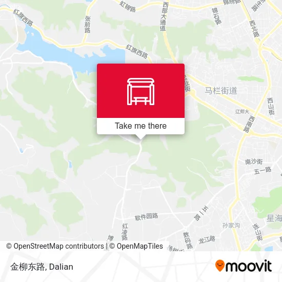 金柳东路 map