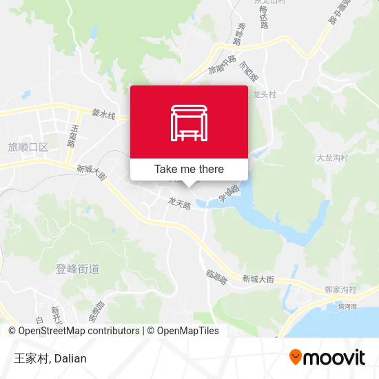 王家村 map