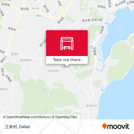 王家村 map