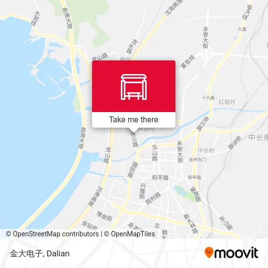 金大电子 map