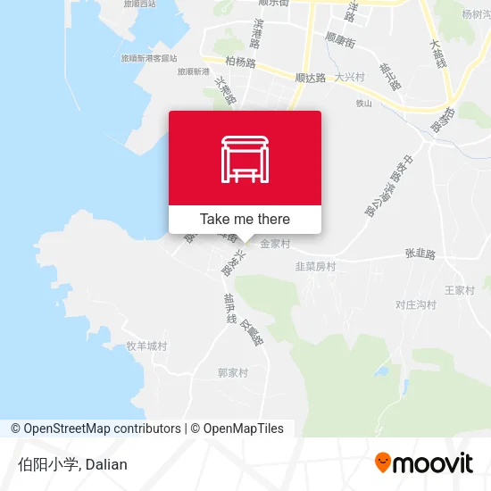 伯阳小学 map