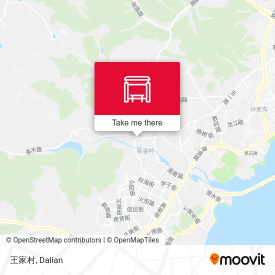 王家村 map