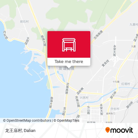 龙王庙村 map