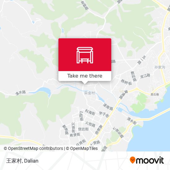 王家村 map