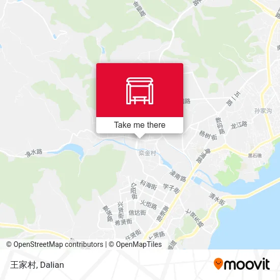 王家村 map
