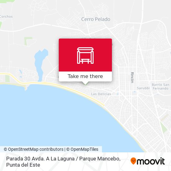 Parada 30 Avda. A La Laguna / Parque Mancebo map
