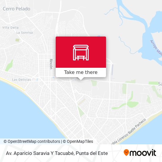 Av. Aparicio Saravia Y Tacuabé map