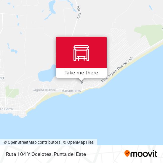 Ruta 104 Y Ocelotes map