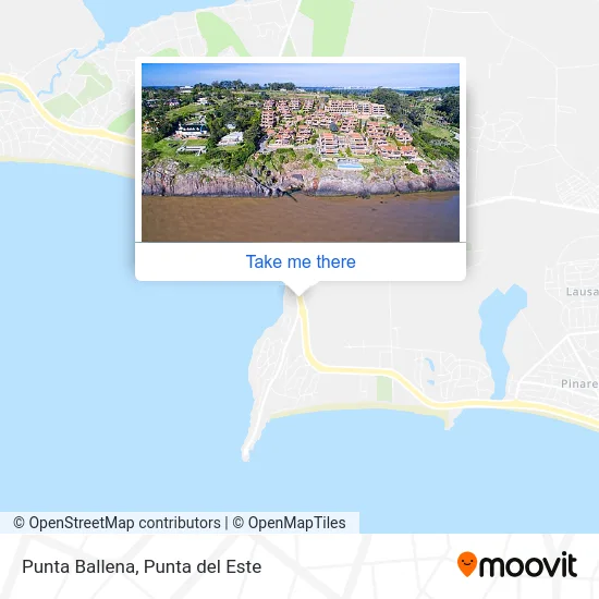 Punta Ballena map