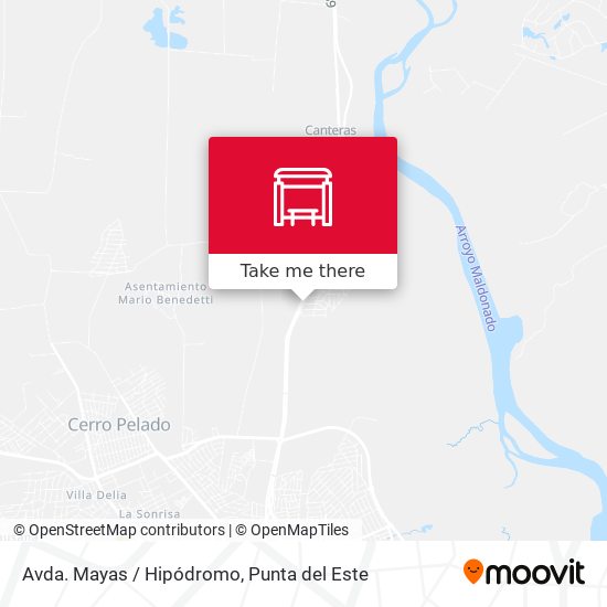 Avda. Mayas / Hipódromo map