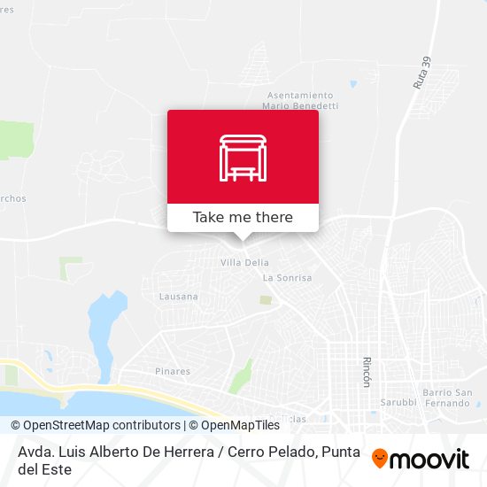 Mapa de Avda. Luis Alberto De Herrera / Cerro Pelado