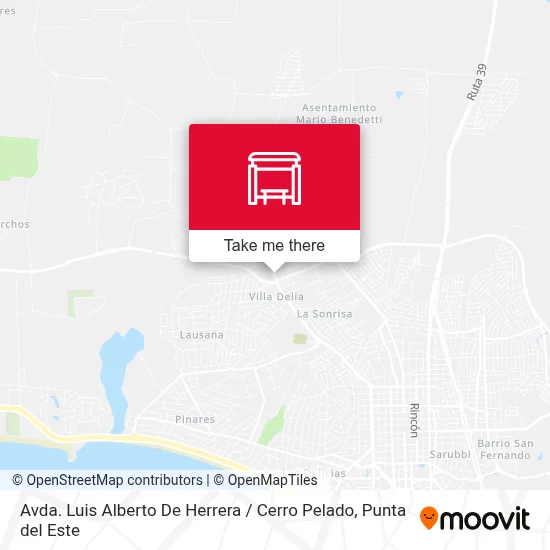 Avda. Luis Alberto De Herrera / Cerro Pelado map