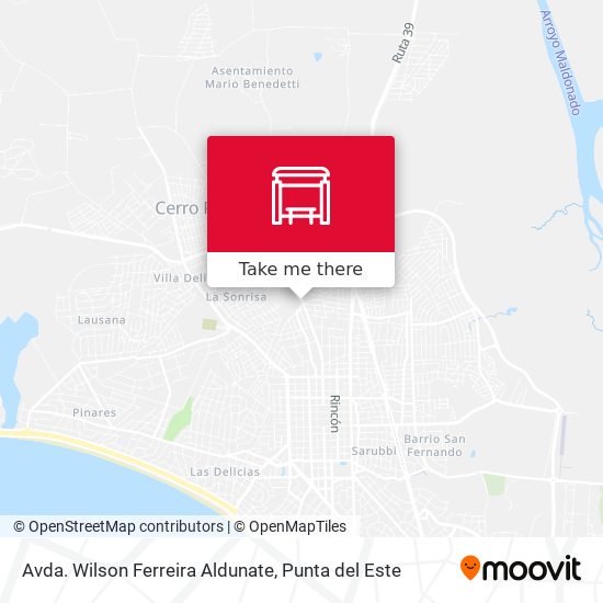Avda. Wilson Ferreira Aldunate map