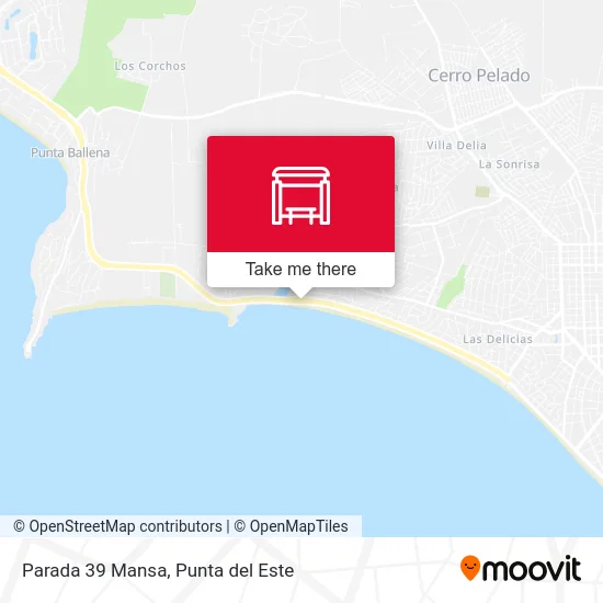 Parada 39 Mansa map