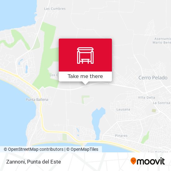 Mapa de Zannoni