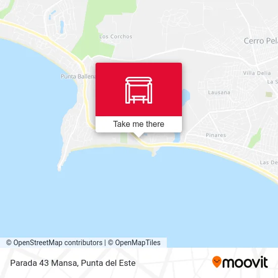 Parada 43 Mansa map