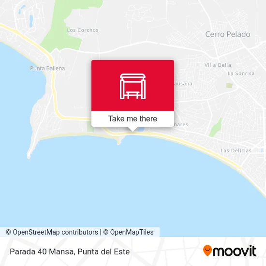 Parada 40 Mansa map
