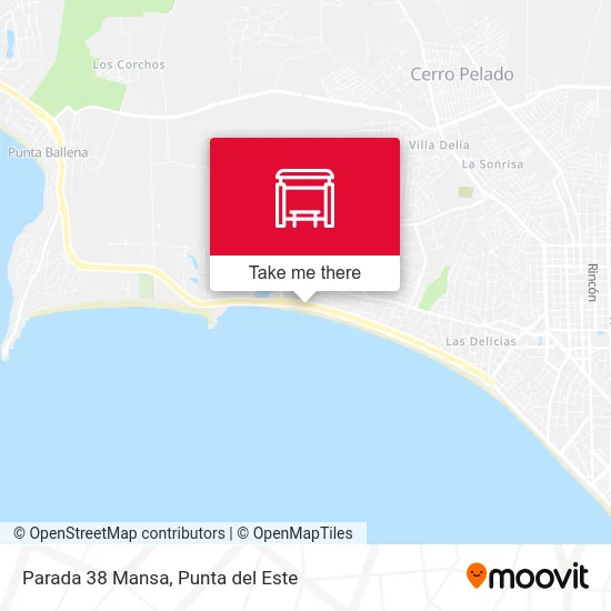 Parada 38 Mansa map
